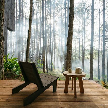 Mo Stay - Forest Resort Далат Екстер'єр фото