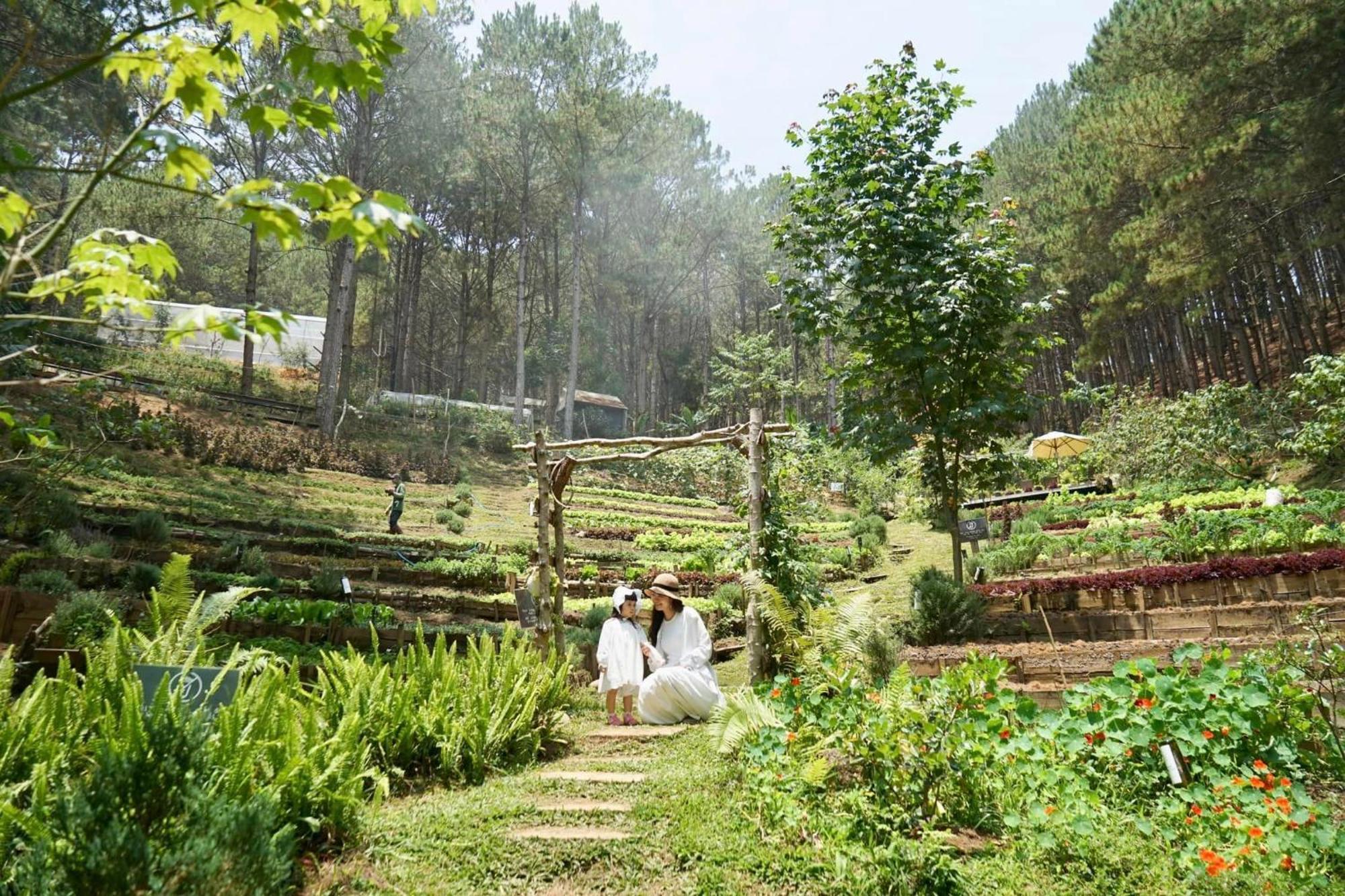 Mo Stay - Forest Resort Далат Екстер'єр фото