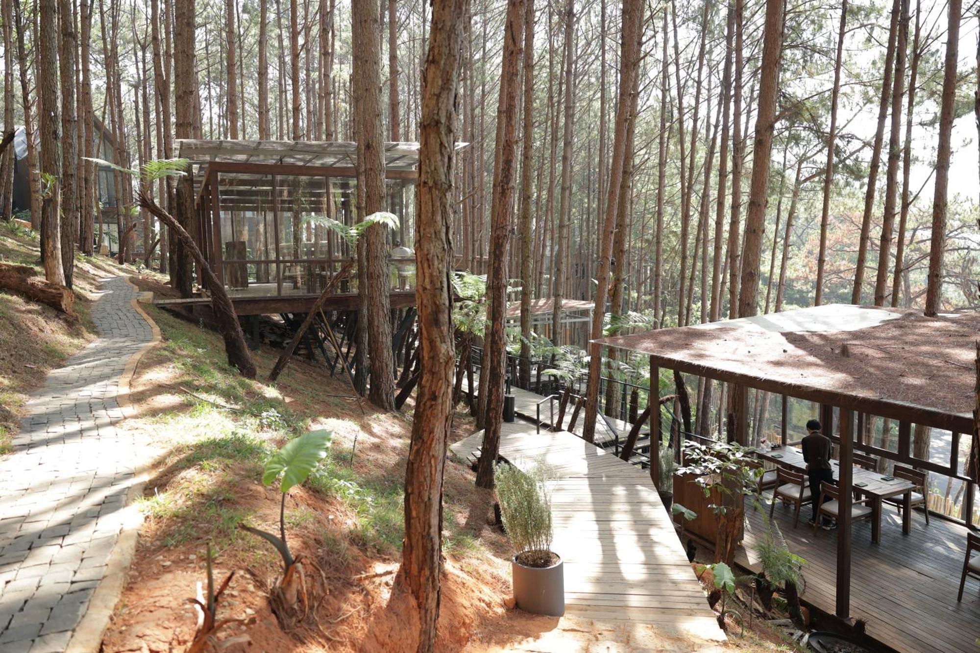 Mo Stay - Forest Resort Далат Екстер'єр фото
