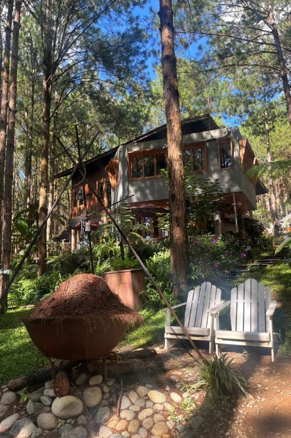 Mo Stay - Forest Resort Далат Екстер'єр фото