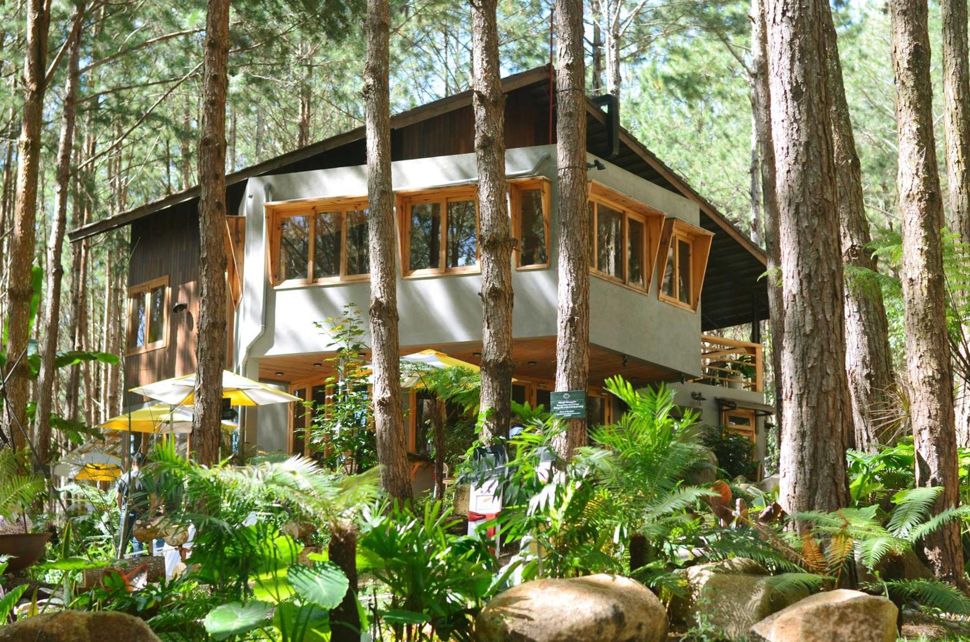 Mo Stay - Forest Resort Далат Екстер'єр фото