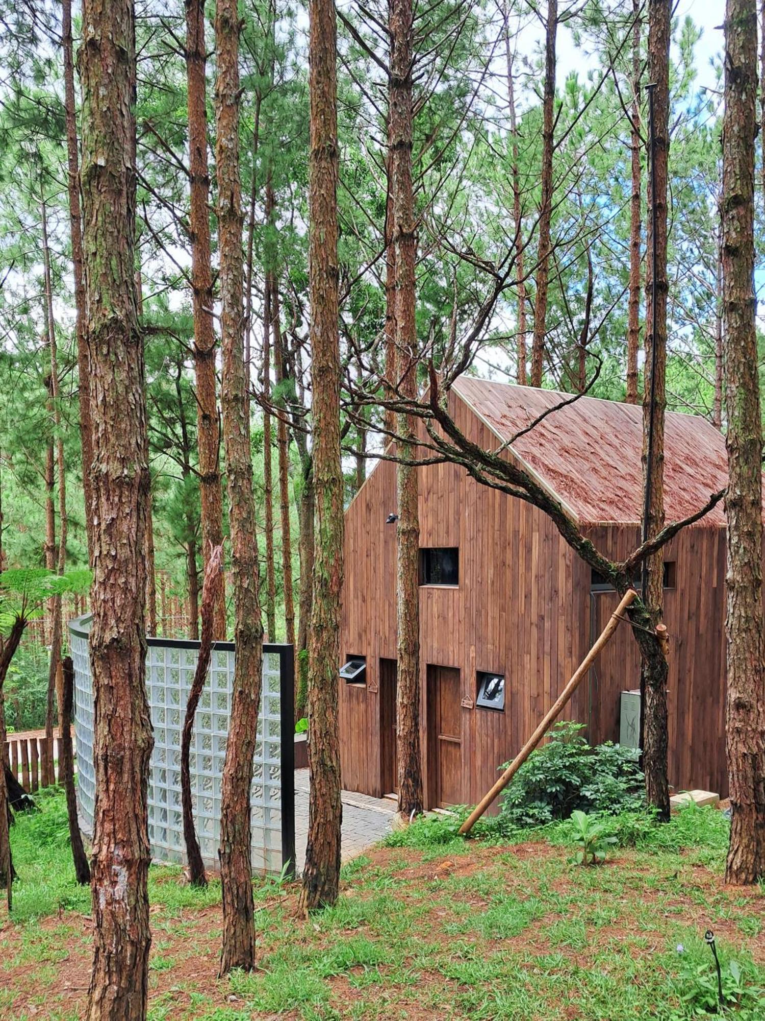 Mo Stay - Forest Resort Далат Екстер'єр фото